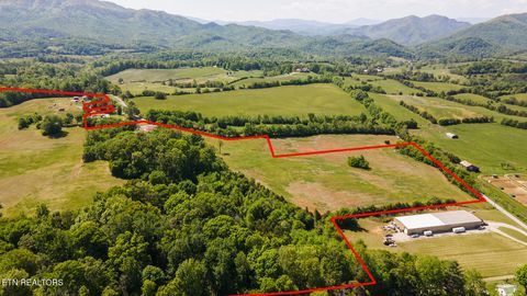 Tiny photo for 822 Sunlight Rd, Parrottsville, TN 37843 (MLS # 1338510)