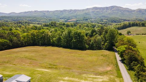 Tiny photo for 822 Sunlight Rd, Parrottsville, TN 37843 (MLS # 1338510)