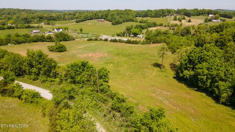 Tiny photo for 822 Sunlight Rd, Parrottsville, TN 37843 (MLS # 1338510)