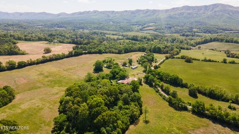 Tiny photo for 822 Sunlight Rd, Parrottsville, TN 37843 (MLS # 1338510)