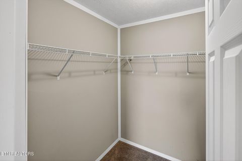 Tiny photo for 822 Sunlight Rd, Parrottsville, TN 37843 (MLS # 1338510)