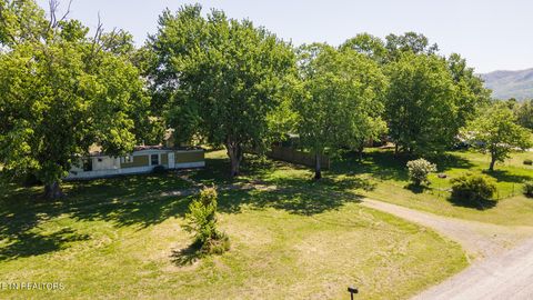 Tiny photo for 822 Sunlight Rd, Parrottsville, TN 37843 (MLS # 1338510)