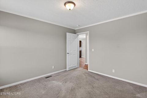 Tiny photo for 822 Sunlight Rd, Parrottsville, TN 37843 (MLS # 1338510)