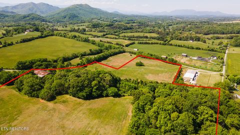Tiny photo for 822 Sunlight Rd, Parrottsville, TN 37843 (MLS # 1338510)