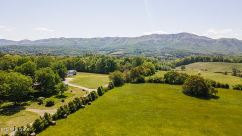 Tiny photo for 822 Sunlight Rd, Parrottsville, TN 37843 (MLS # 1338510)