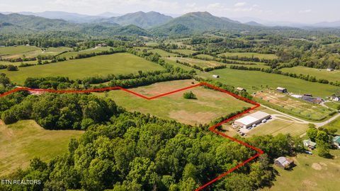 Tiny photo for 822 Sunlight Rd, Parrottsville, TN 37843 (MLS # 1338510)