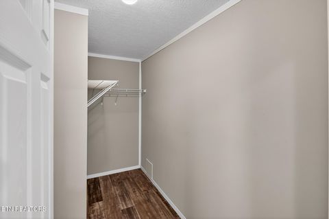 Tiny photo for 822 Sunlight Rd, Parrottsville, TN 37843 (MLS # 1338510)