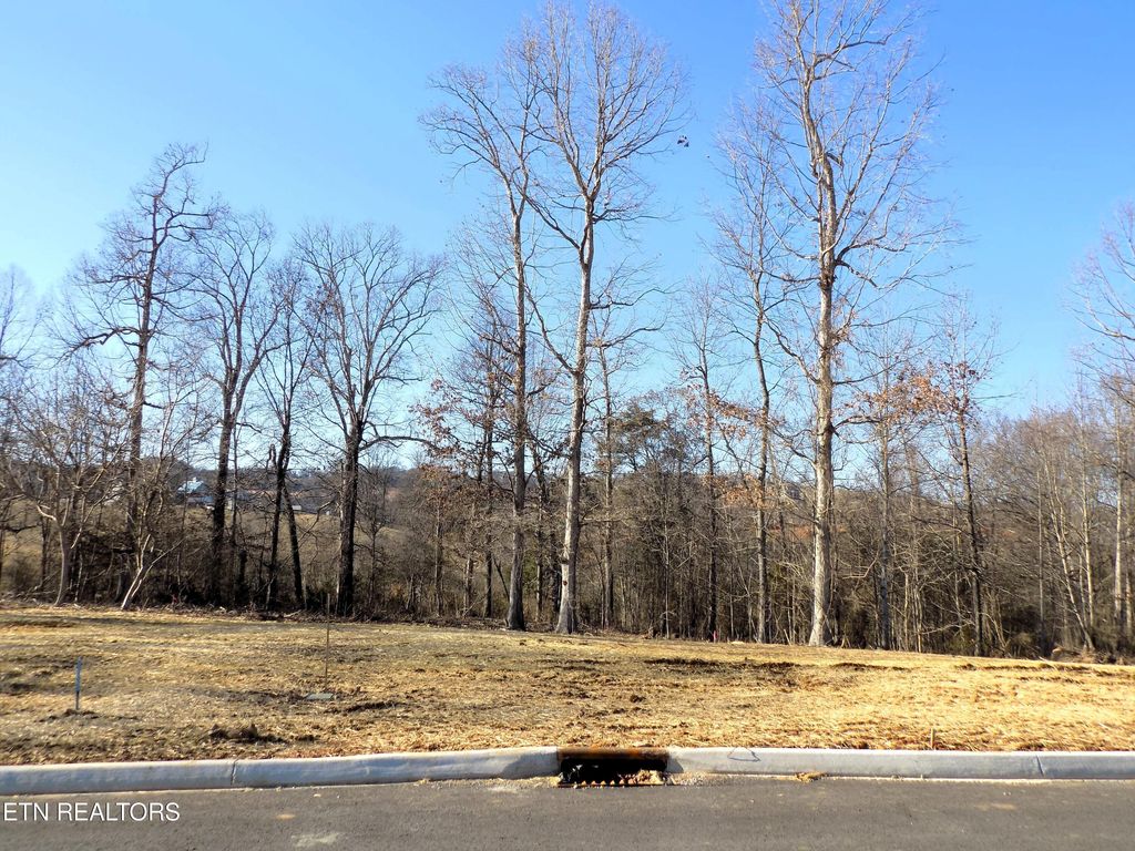Photo of 38 Graystone Shoals, Morristown, TN 37814 (MLS # 1327339)