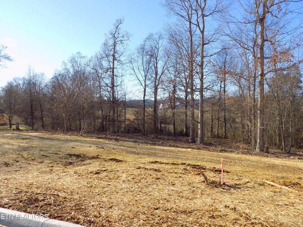 Photo of 38 Graystone Shoals, Morristown, TN 37814 (MLS # 1327339)