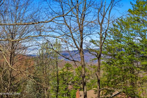 Tiny photo for 2206 Castle Rise Way, Sevierville, TN 37862 (MLS # 1332527)