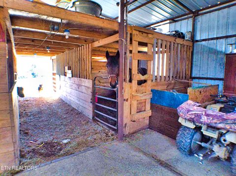 Tiny photo for 128 Knepp Rd, Deer Lodge, TN 37726 (MLS # 1331209)