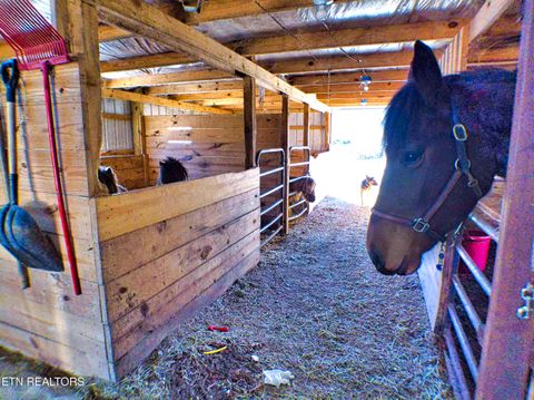 Tiny photo for 128 Knepp Rd, Deer Lodge, TN 37726 (MLS # 1331209)