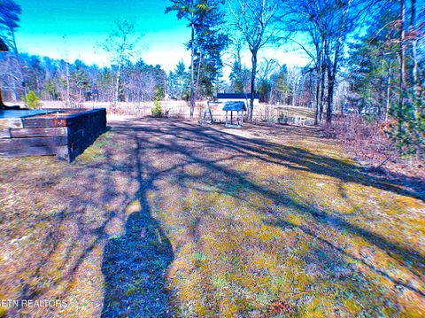 Tiny photo for 128 Knepp Rd, Deer Lodge, TN 37726 (MLS # 1331209)