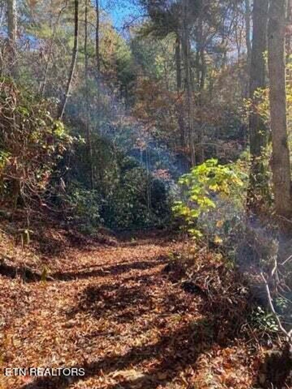 Photo of 00 Pond Ridge Road, Tellico Plains, TN 37385 (MLS # 1265109)