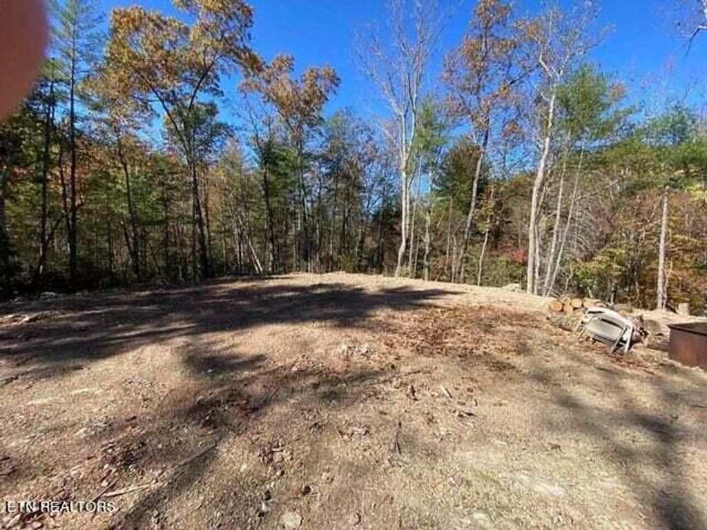 Photo of 00 Pond Ridge Road, Tellico Plains, TN 37385 (MLS # 1265109)