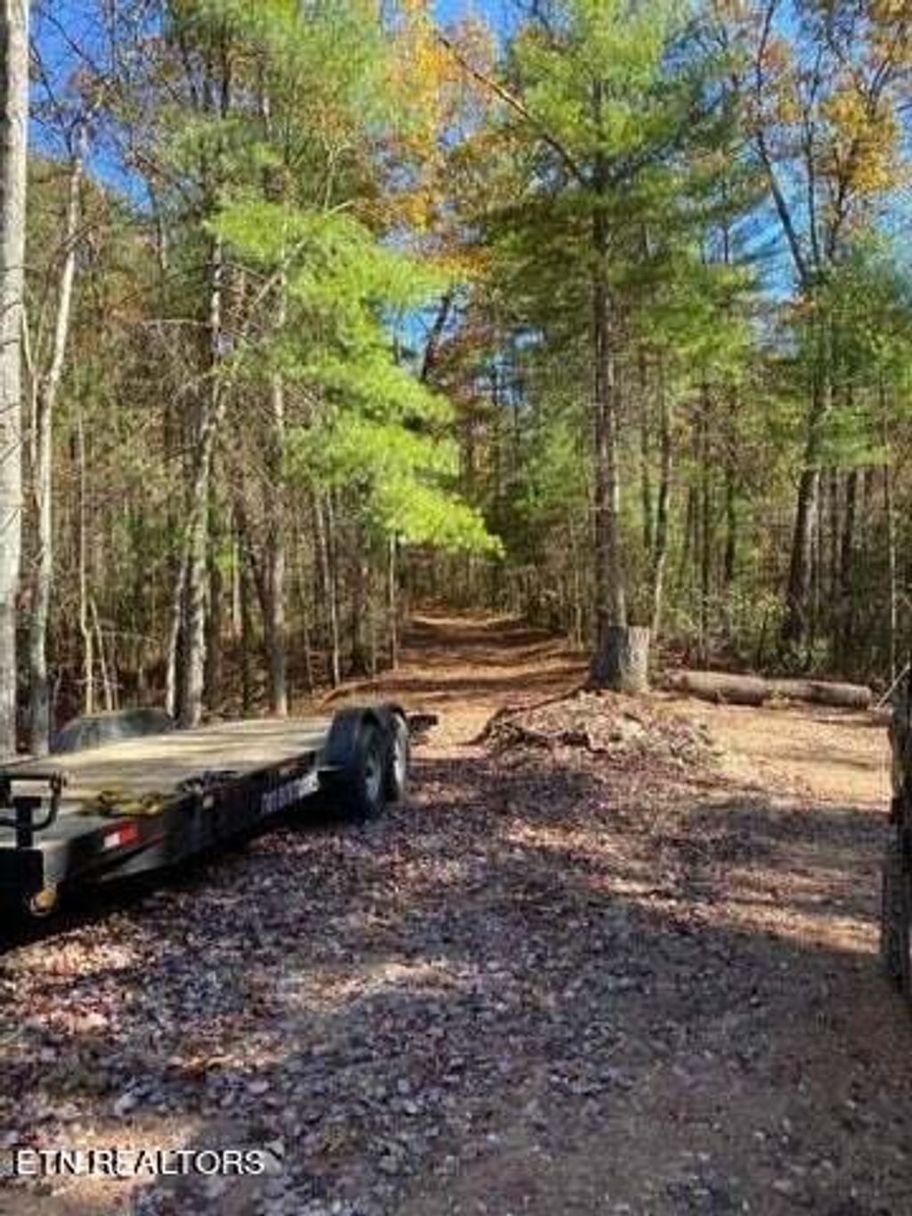 Photo of 00 Pond Ridge Road, Tellico Plains, TN 37385 (MLS # 1265109)