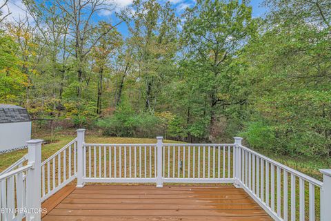 Tiny photo for 493 Randall Fugate Rd, Spring City, TN 37381 (MLS # 1320182)