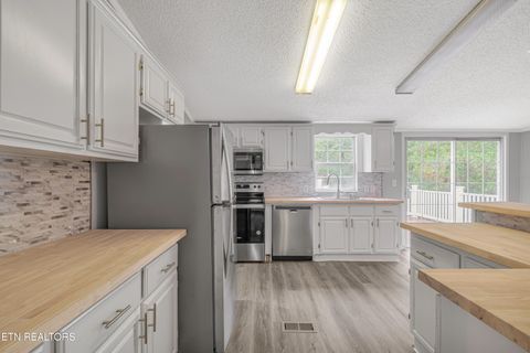 Tiny photo for 493 Randall Fugate Rd, Spring City, TN 37381 (MLS # 1320182)