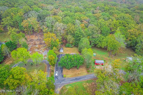Tiny photo for 493 Randall Fugate Rd, Spring City, TN 37381 (MLS # 1320182)