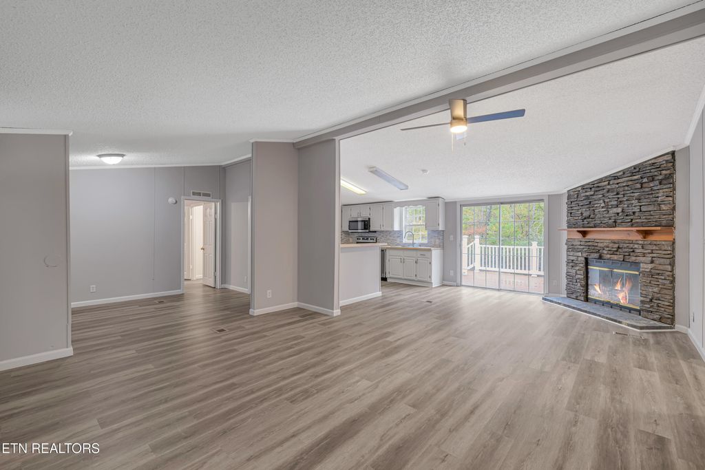 Photo of 493 Randall Fugate Rd, Spring City, TN 37381 (MLS # 1320182)