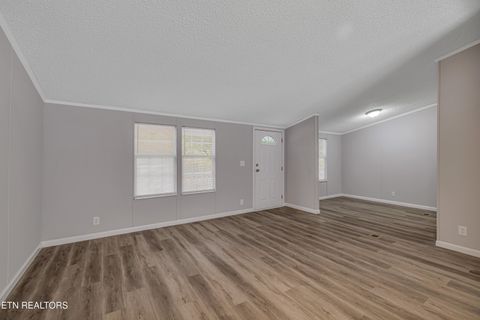 Tiny photo for 493 Randall Fugate Rd, Spring City, TN 37381 (MLS # 1320182)