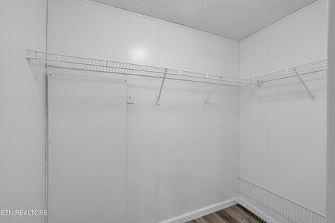 Tiny photo for 493 Randall Fugate Rd, Spring City, TN 37381 (MLS # 1320182)