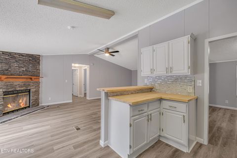 Tiny photo for 493 Randall Fugate Rd, Spring City, TN 37381 (MLS # 1320182)