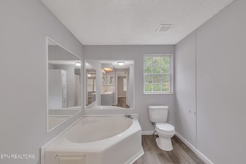 Tiny photo for 493 Randall Fugate Rd, Spring City, TN 37381 (MLS # 1320182)