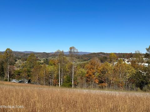 Tiny photo for Sam & Maria Lot 28 Way, LaFollette, TN 37766 (MLS # 1332326)