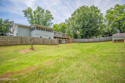 Single Family Residence in Louisville TN 3046 Johnston Rd 49.jpg