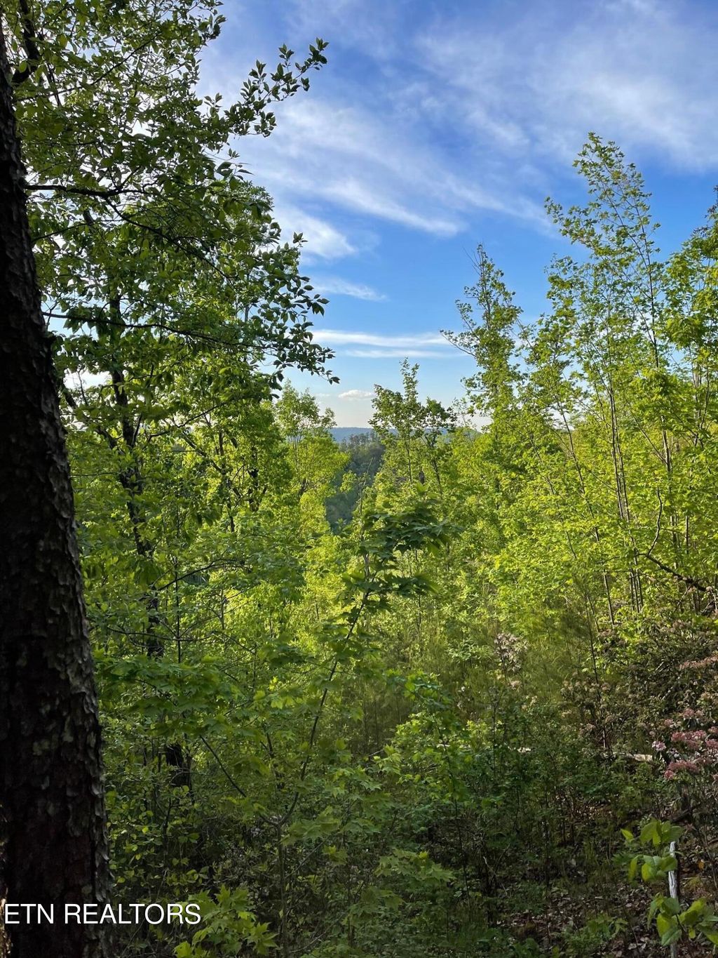 Photo of Rafter Road, Tellico Plains, TN 37385 (MLS # 1225716)