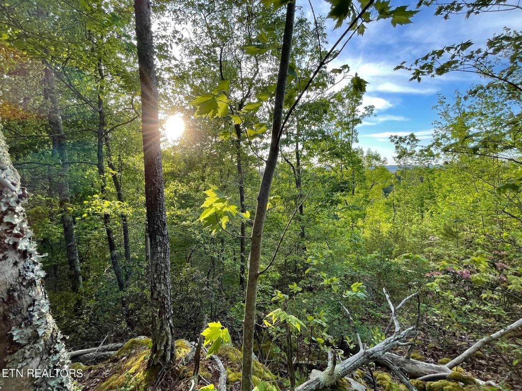 Photo of Rafter Road, Tellico Plains, TN 37385 (MLS # 1225716)