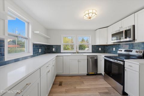 Tiny photo for 317 Lynn Ave, Athens, TN 37303 (MLS # 1334393)