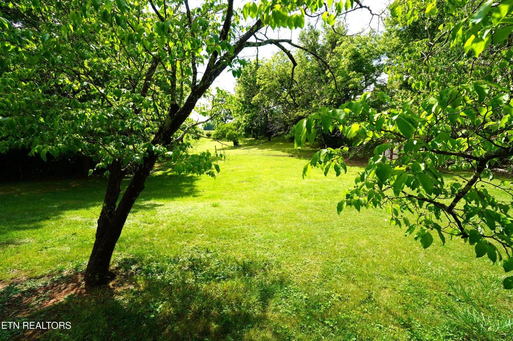 Photo of 1006 Woodland Way, Dandridge, TN 37725 (MLS # 1340325)
