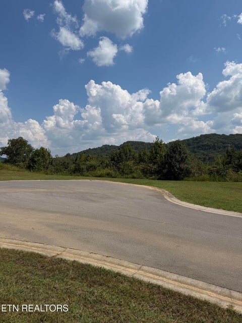 Tiny photo for 166 Harbour Pointe Lane, Oak Ridge, TN 37830 (MLS # 1354817)