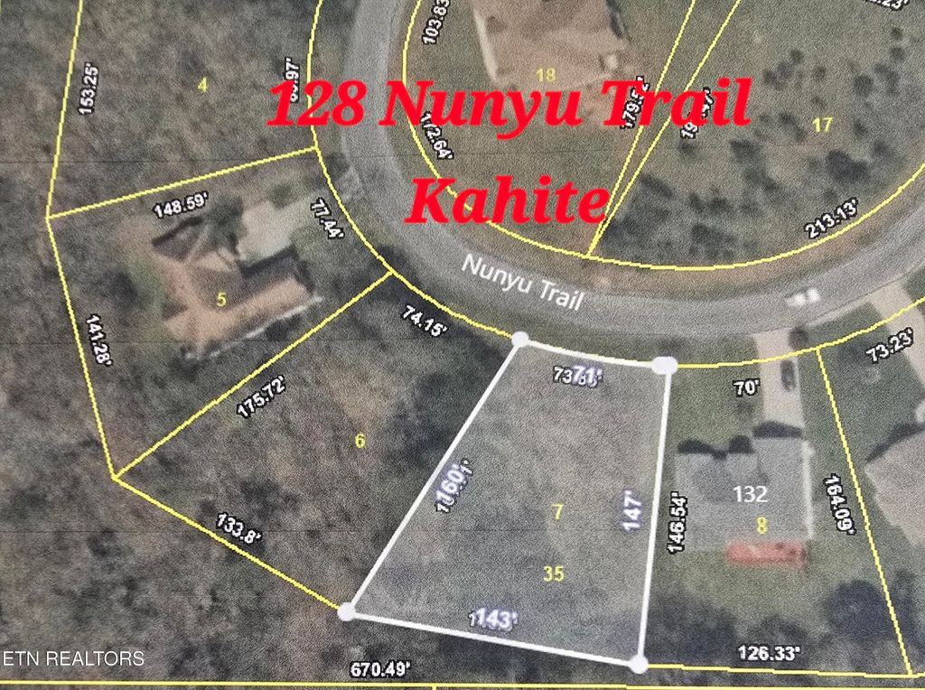 Photo of 128 Nunyu Tr, Vonore, TN 37885 (MLS # 1313102)