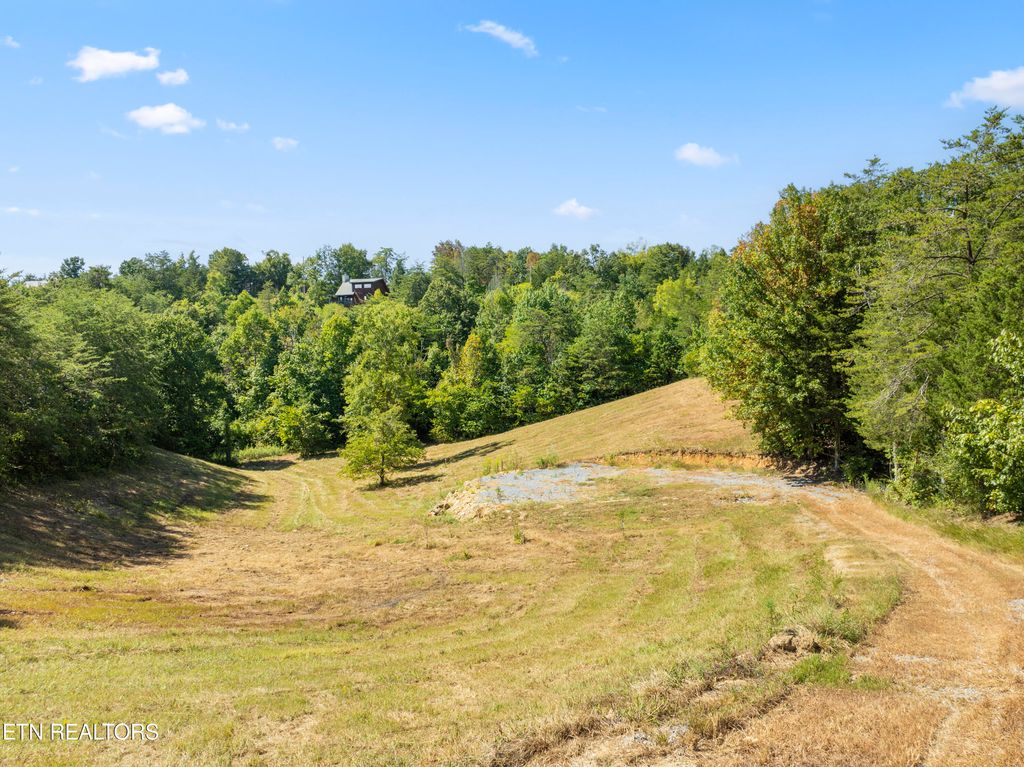 Photo of 910 Debras Way, Sevierville, TN 37876 (MLS # 1275888)