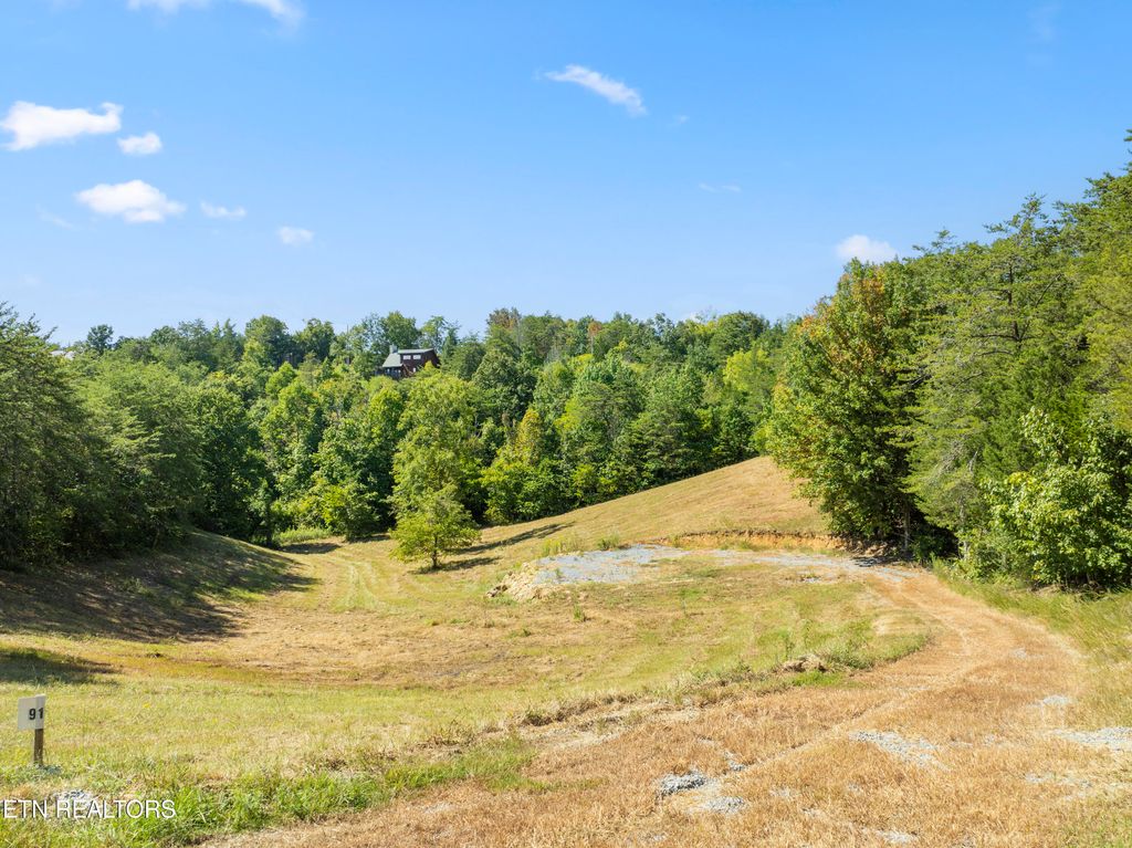 Photo of 910 Debras Way, Sevierville, TN 37876 (MLS # 1275888)