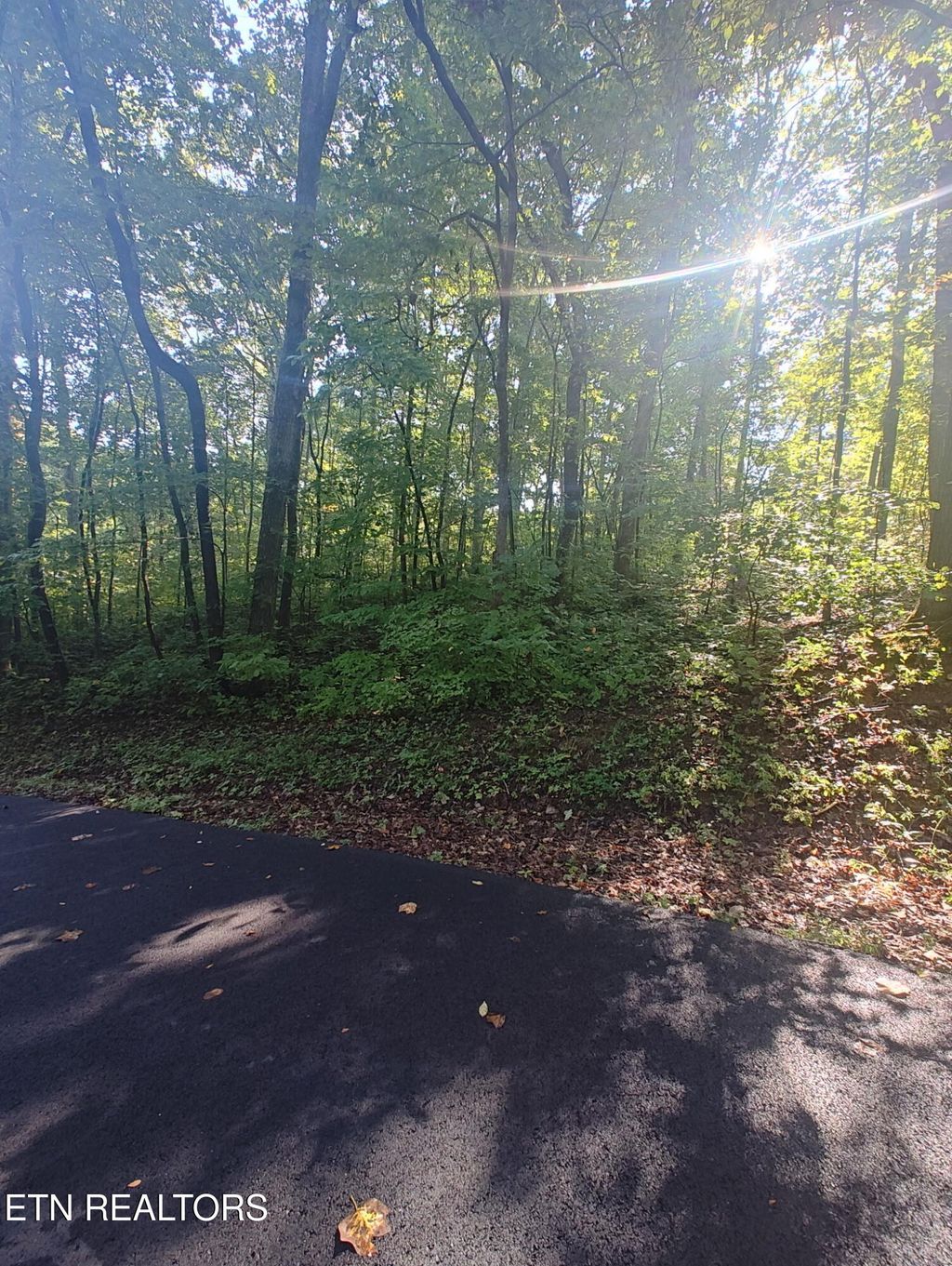 Photo of 0 Edgewood Rd, Sweetwater, TN 37874 (MLS # 1316271)