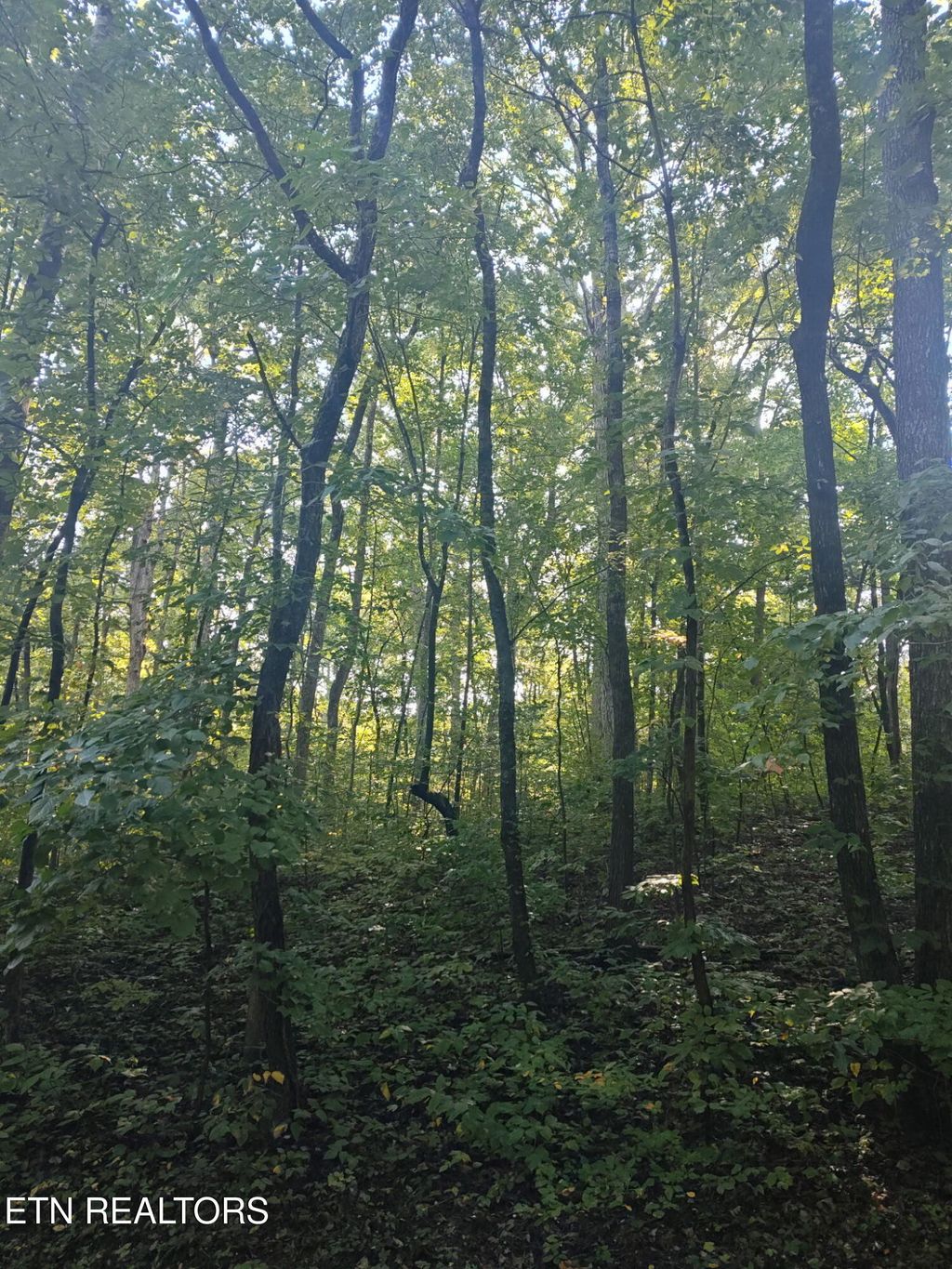 Photo of 0 Edgewood Rd, Sweetwater, TN 37874 (MLS # 1316271)