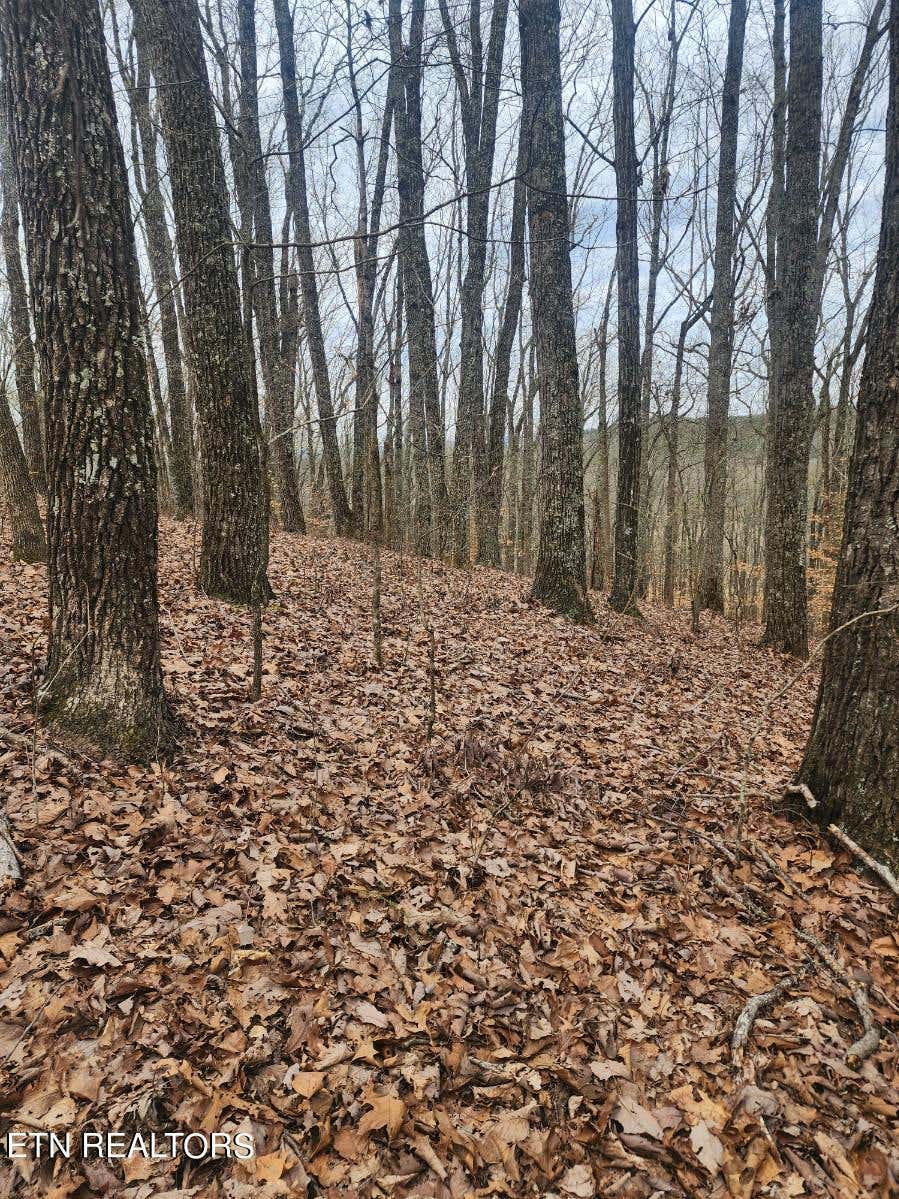 Photo of Upper Concord Rd, Ten Mile, TN 37880 (MLS # 1257791)