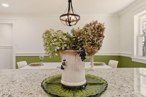 Tiny photo for 317 Macedonia Lane, Knoxville, TN 37914 (MLS # 1333219)