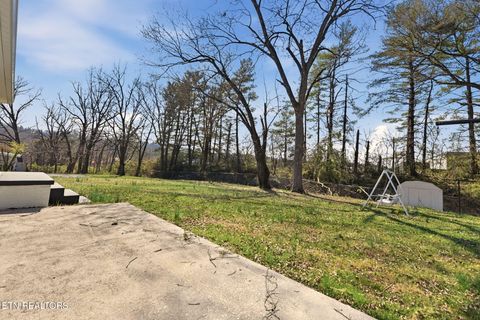 Tiny photo for 317 Macedonia Lane, Knoxville, TN 37914 (MLS # 1333219)