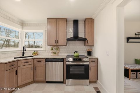 Tiny photo for 317 Macedonia Lane, Knoxville, TN 37914 (MLS # 1333219)