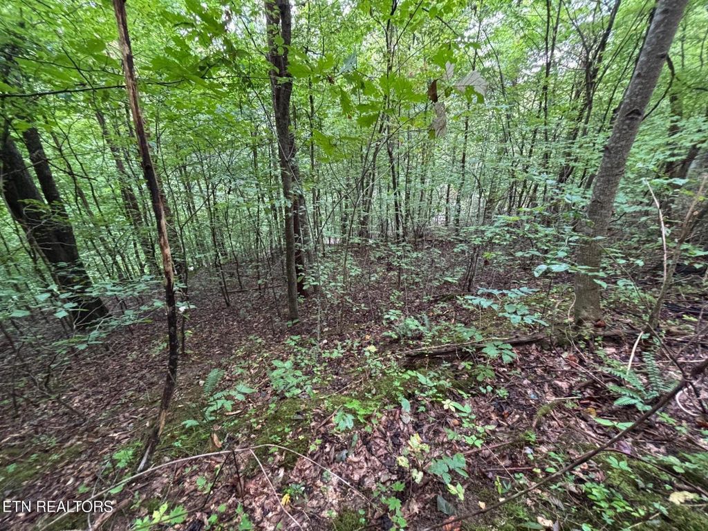 Photo of 6th Ave, Jellico, TN 37762 (MLS # 1315164)