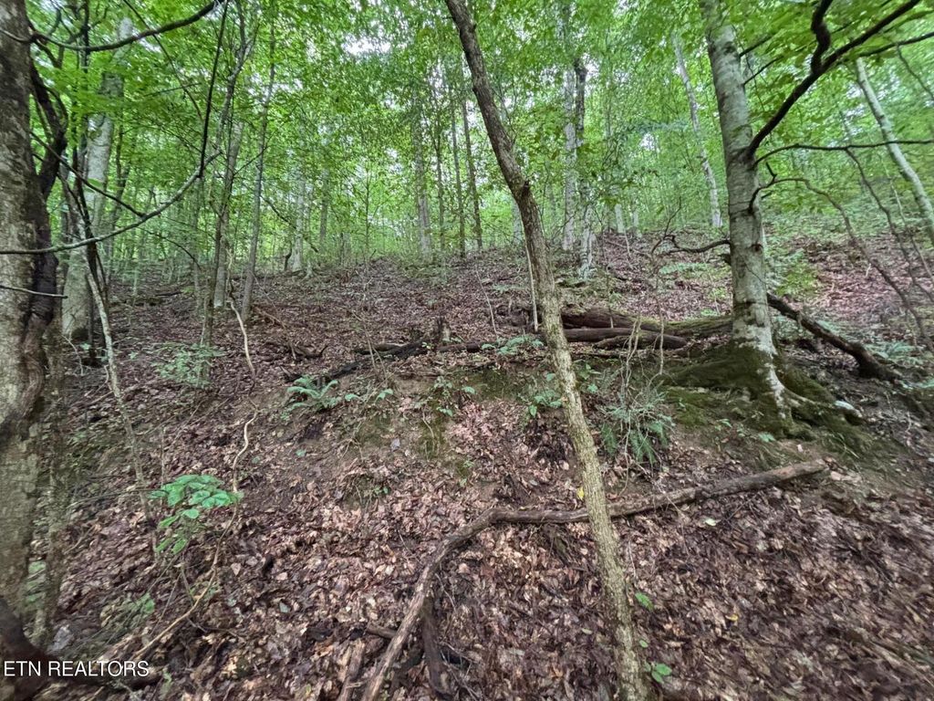 Photo of 6th Ave, Jellico, TN 37762 (MLS # 1315164)