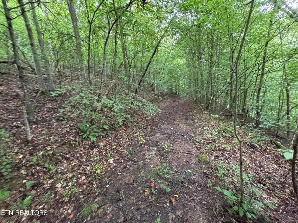 Photo of 6th Ave, Jellico, TN 37762 (MLS # 1315164)