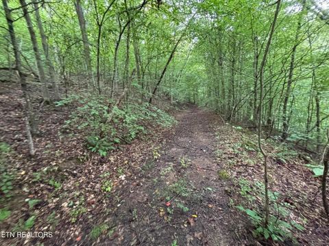 6th Ave Jellico TN 37762