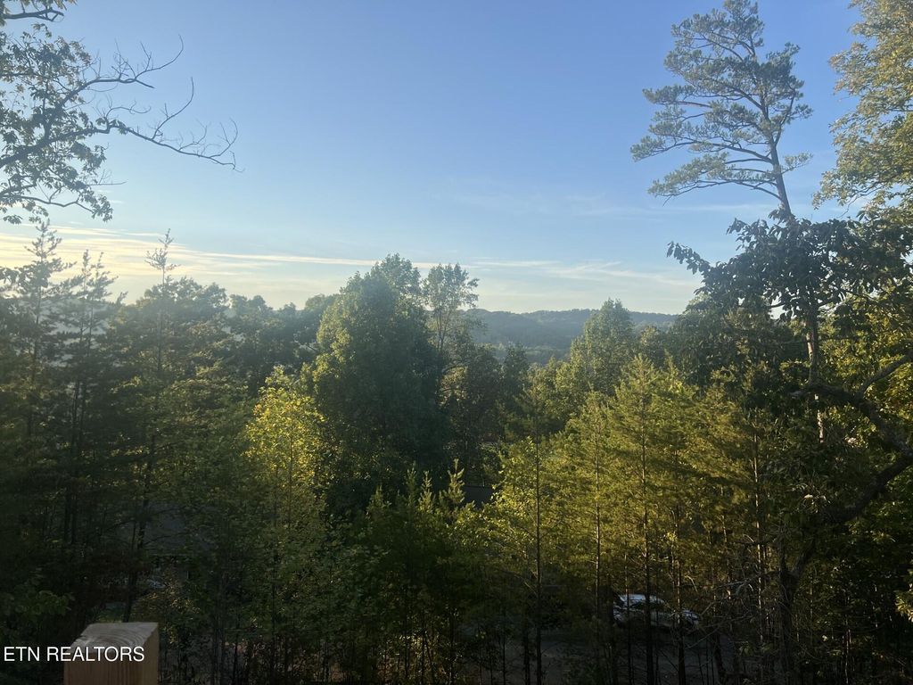 Photo of 850 TRINITY VIEW CIRCLE Circle, Seymour, TN 37865 (MLS # 1316025)