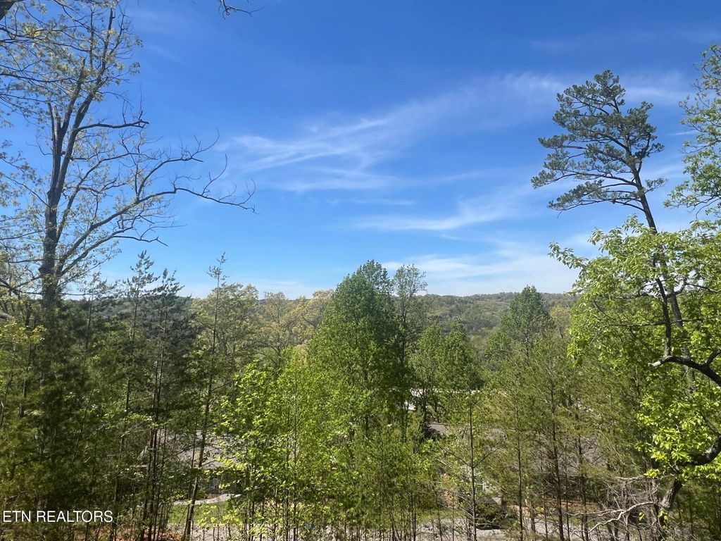 Photo of 850 TRINITY VIEW CIRCLE Circle, Seymour, TN 37865 (MLS # 1316025)